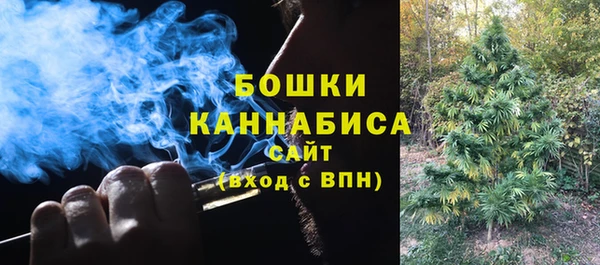2c-b Коряжма